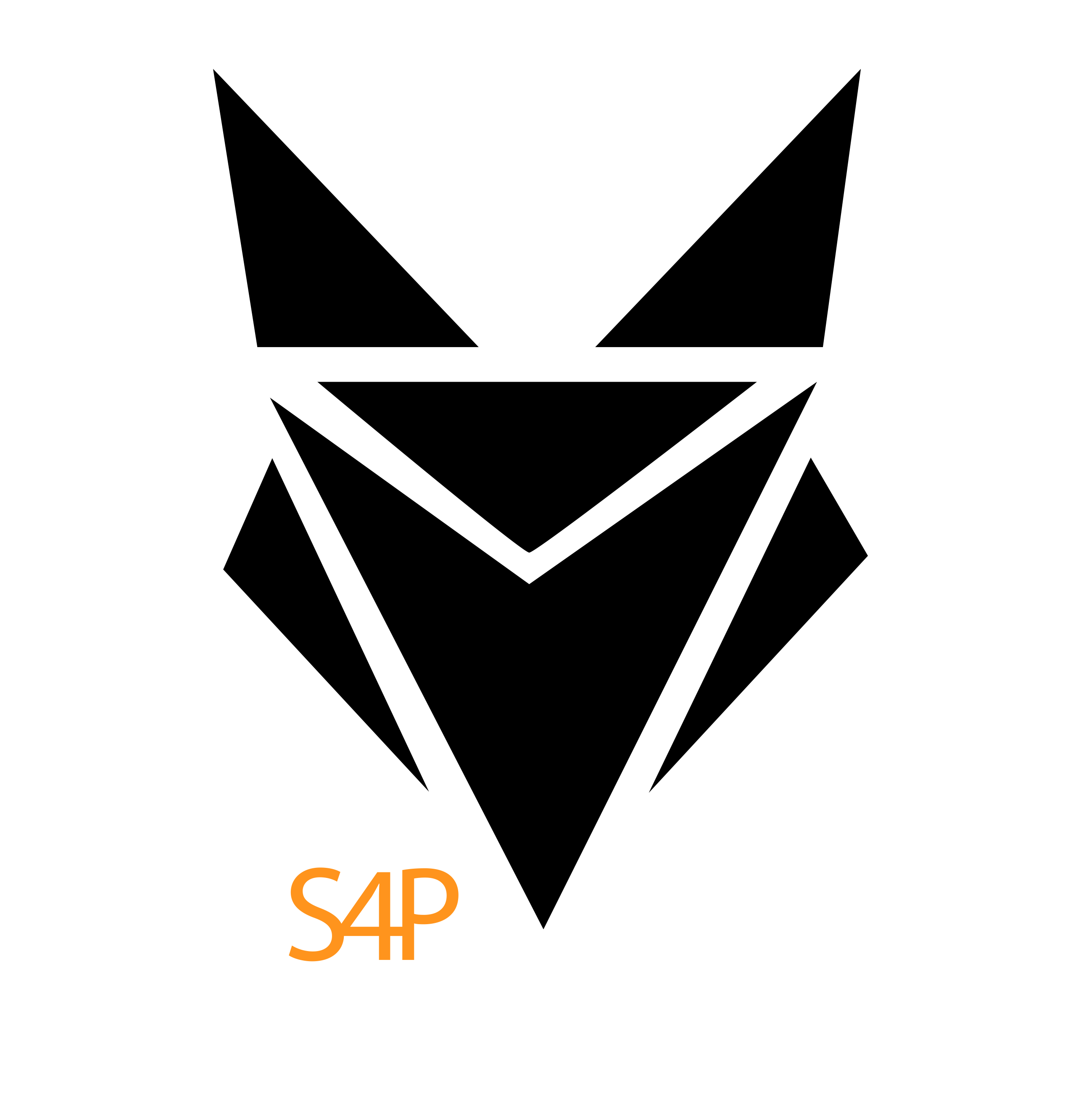 Logo S4P